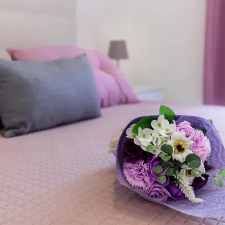 Casa Esada フォッローニカ